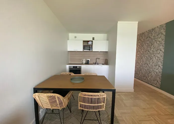 Moderne A Avec Parking Et Vue Ocean - Fr-1-239-1040 Biarritz