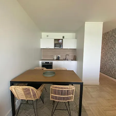 Moderne A Avec Parking Et Vue Ocean - Fr-1-239-1040 Биарриц